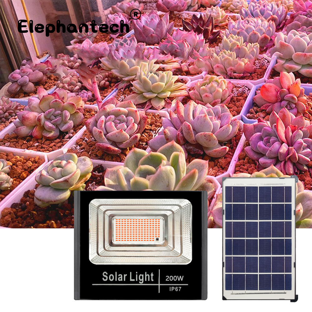 LED Full Spectrum Phyto Lamp 2 - Power Outage Light ulasan dan harga